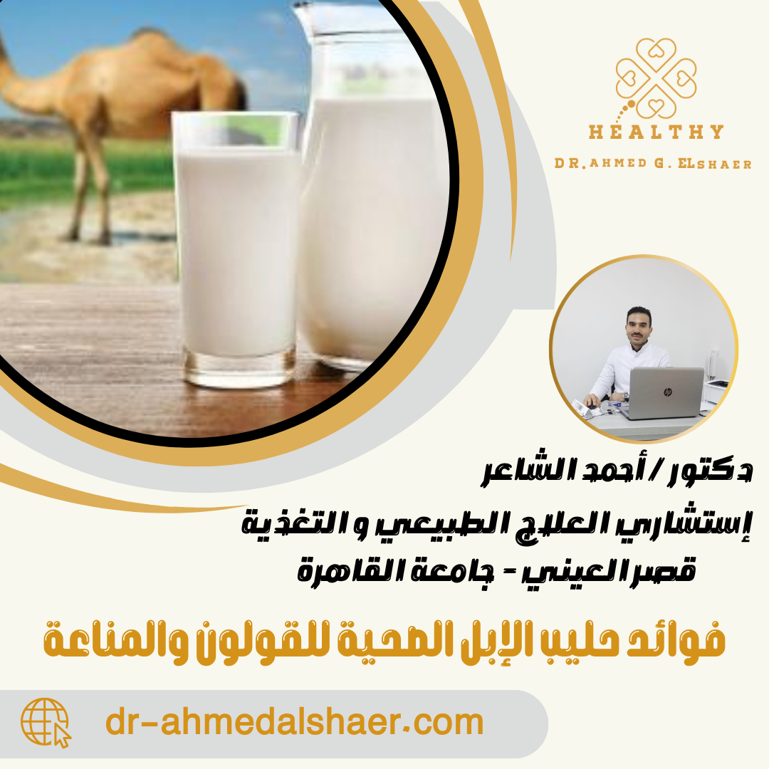 فوائد حليب الإبل الصحية للقولون والمناعة